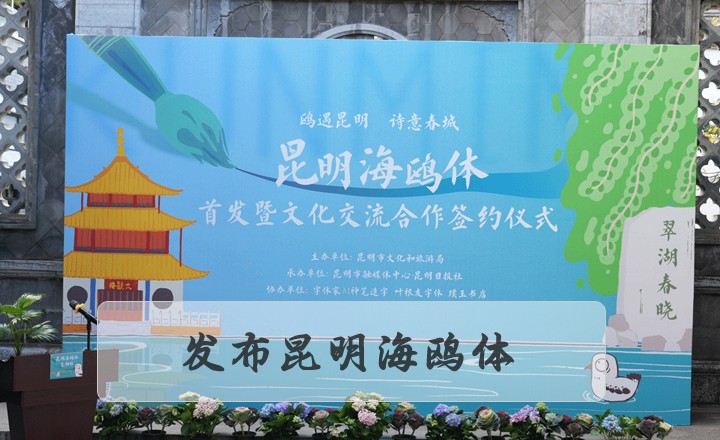 昆明海鷗體發(fā)布